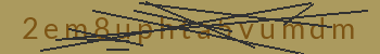 PHP Captcha for Piwigo